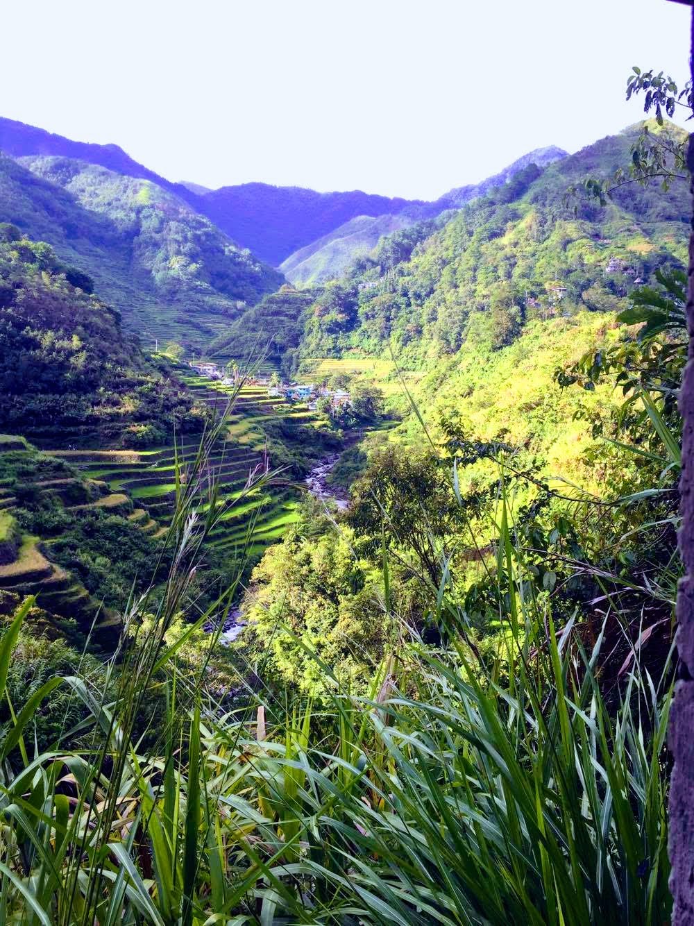 terrazas arroz banaue filipinas