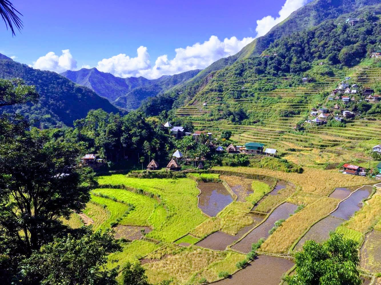 terrazas arroz banaue filipinas